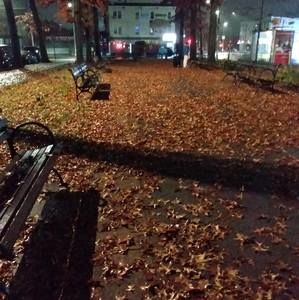 Meet your Posher, Herman